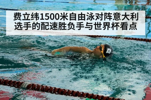 费立纬1500米自由泳对阵意大利选手的配速胜负手与世界杯看点